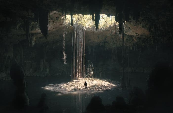 Pokazy specjalne dokumentów na EnergaCAMERIMAGE 2025